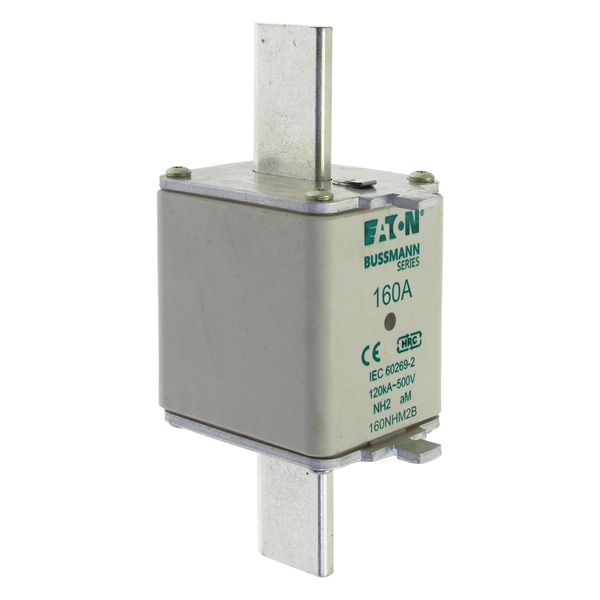 Fuse-link, low voltage, 160 A, AC 500 V, NH2, aM, IEC, dual indicator image 10