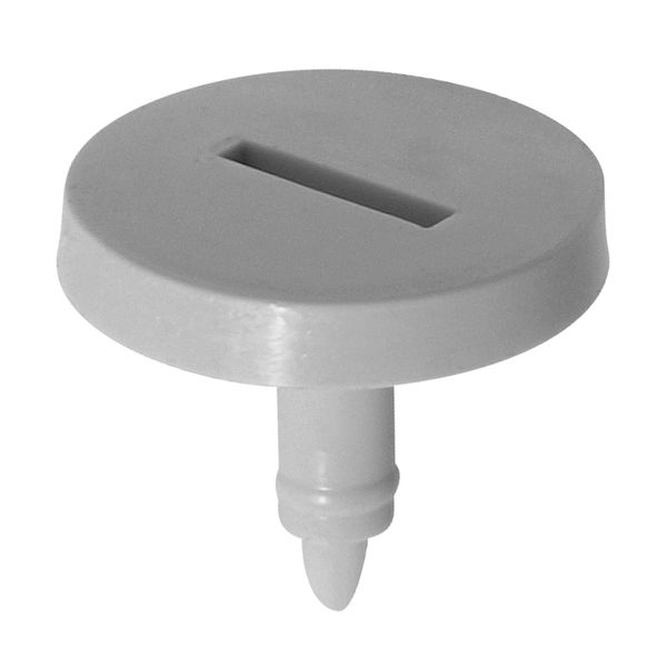 Cover screw head grey for IG706? image 1