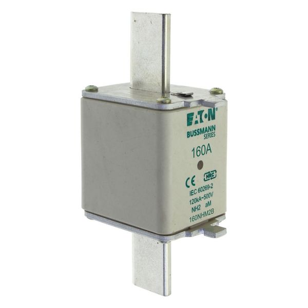 Fuse-link, low voltage, 160 A, AC 500 V, NH2, aM, IEC, dual indicator image 9