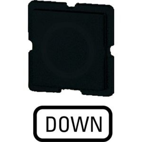 Button plate for push-button, Inscription: DOWN, 25 x 25 image 4