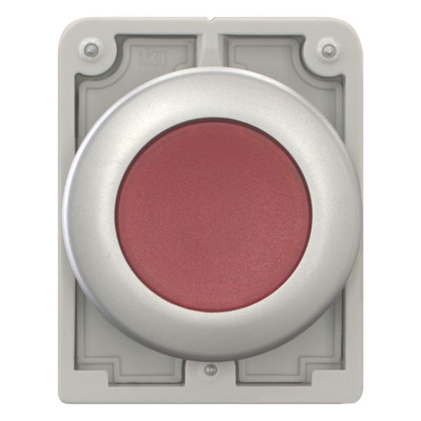 Illuminated pushbutton actuator, RMQ-Titan, Flat, momentary, red, Blank, Metal bezel image 9