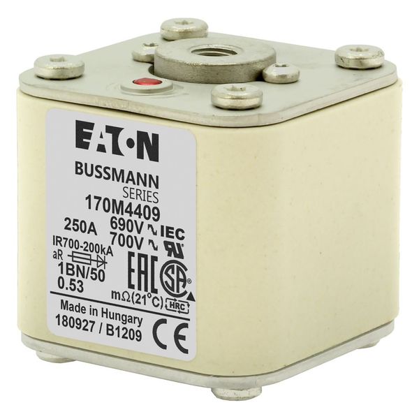 Fuse-link, high speed, 250 A, AC 690 V, size 1, 53 x 69 x 51 mm, aR, IEC, UL, single indicator, flush end, M8 image 11