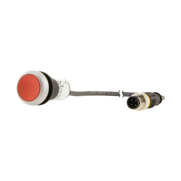 Pushbutton, Flat, momentary, 1 NC, Cable (black) with M12A plug, 4 pole, 1 m, red, Blank, Bezel: titanium image 18