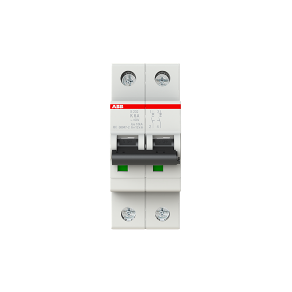S202-K6 Miniature Circuit Breaker - 2P - K - 6 A image 5