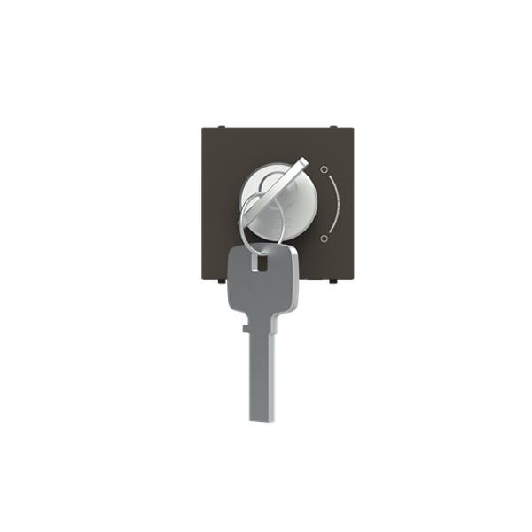 N2253 AN Key switch Anthracite - Zenit image 1
