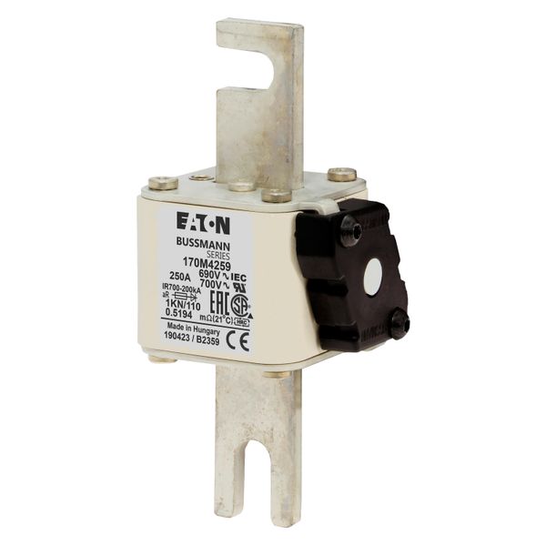 Fuse-link, high speed, 250 A, AC 690 V, DIN 1, 53 x 69 x 138 mm, aR, DIN, IEC, single indicator image 7