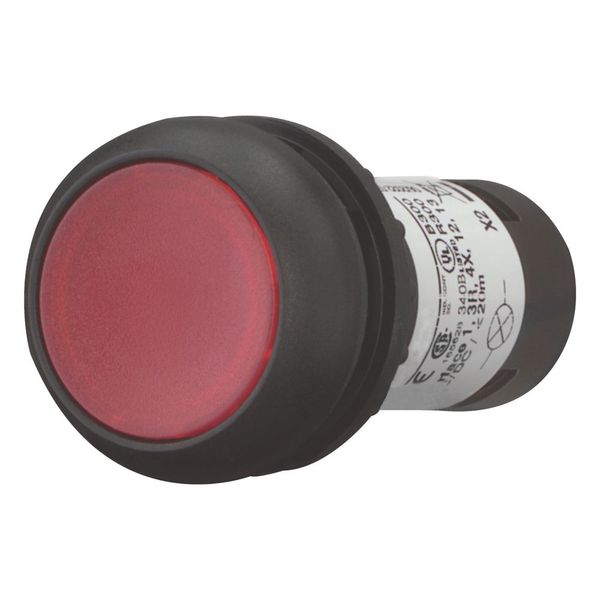 Illuminated pushbutton actuator, Flat, maintained, 1 NC, Screw connection, LED Red, red, Blank, 230 V AC, Bezel: black image 5