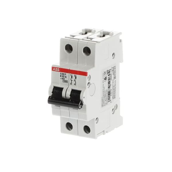 S202P-K63 Miniature Circuit Breaker - 2P - K - 63 A image 3