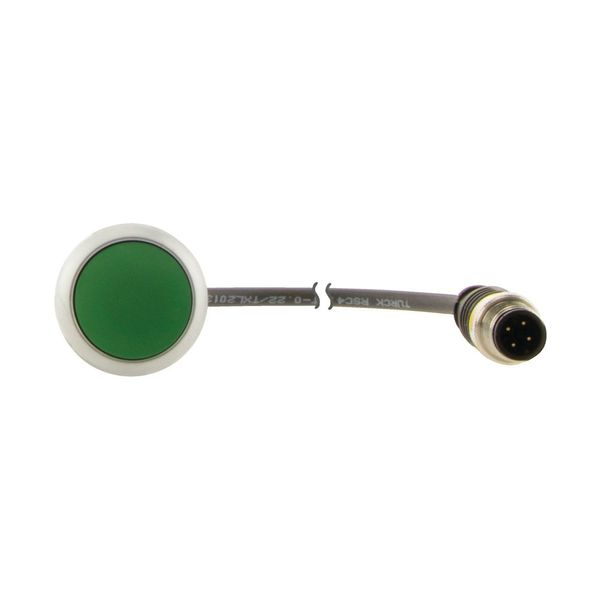 Pushbutton, Flat, momentary, 1 N/O, Cable (black) with M12A plug, 4 pole, 0.2 m, green, Blank, Bezel: titanium image 12