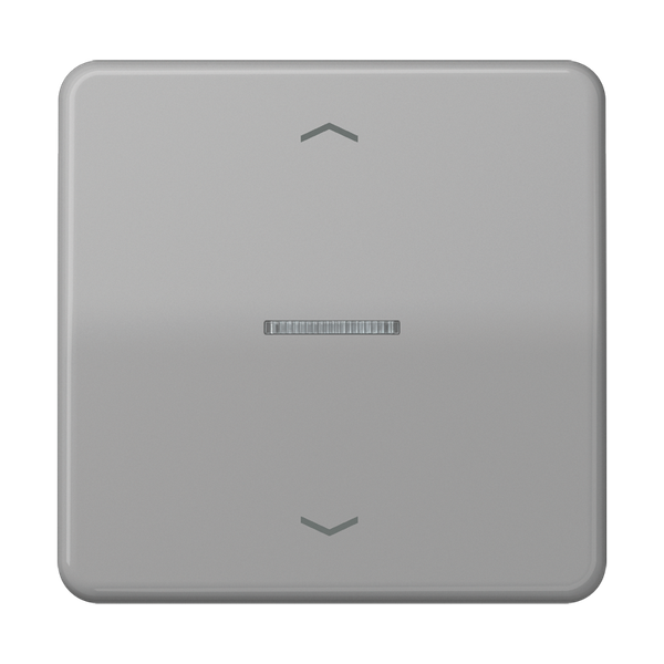 ENet push-button standard 1-gang FMCD1700PGR image 2