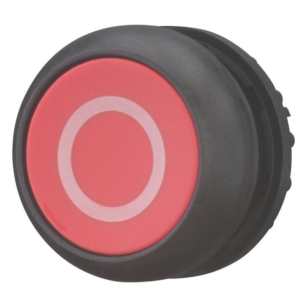 Pushbutton, RMQ-Titan, Flat, maintained, red, inscribed, Bezel: black image 5