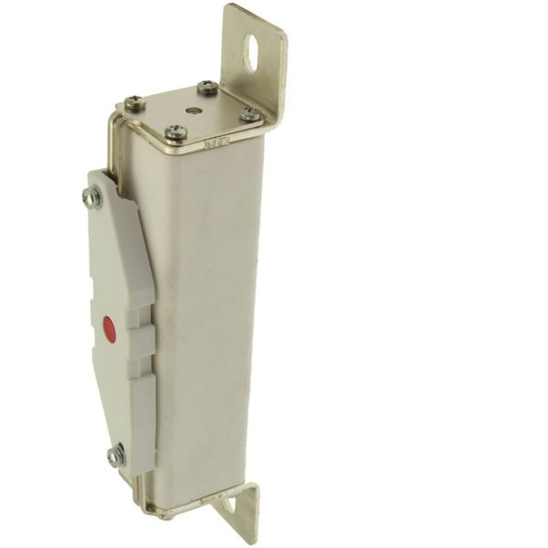 Fuse-link, high speed, 100 A, DC 2000 V, 39 x 66 x 216 mm, aR, IEC, with indicator image 19