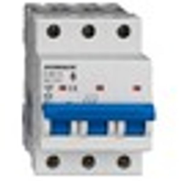 Miniature Circuit Breaker (MCB) AMPARO 10kA, C 40A, 3-pole image 8