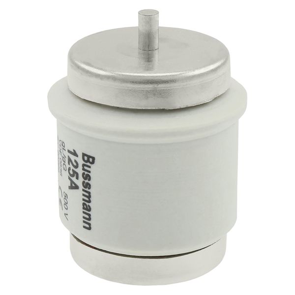 Fuse-link, low voltage, 125 A, AC 500 V, D5, 56 x 46 mm, gL/gG, DIN, IEC, time-delay image 23