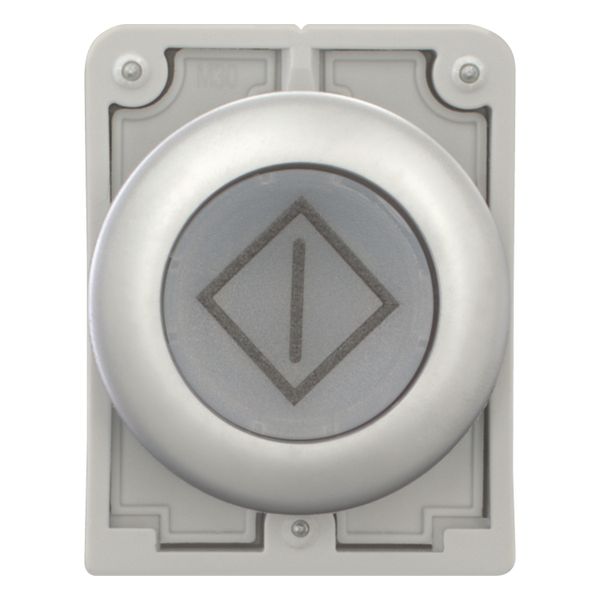 Illuminated pushbutton actuator, RMQ-Titan, Flat, momentary, White, inscribed, Metal bezel image 10