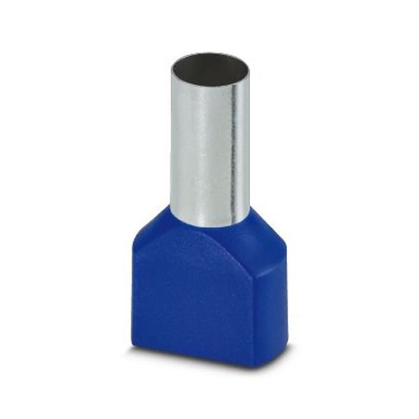 Ferrule image 2