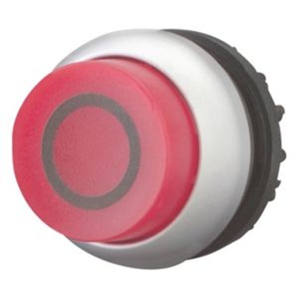 Illuminated pushbutton actuator, RMQ-Titan, Extended, momentary, red, inscribed, Bezel: titanium image 2
