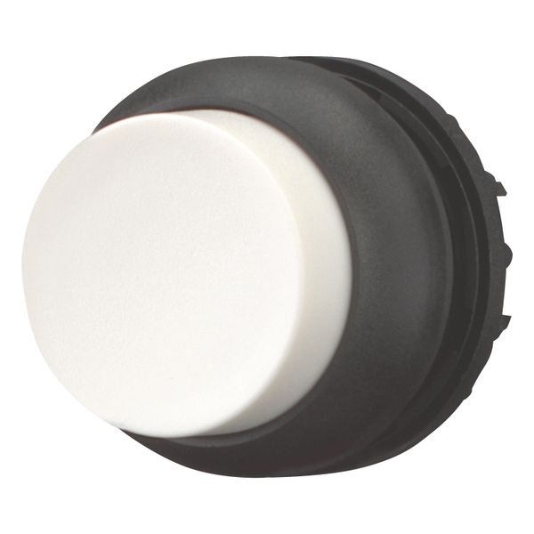 Pushbutton, RMQ-Titan, Extended, momentary, White, Blank, Bezel: black image 4