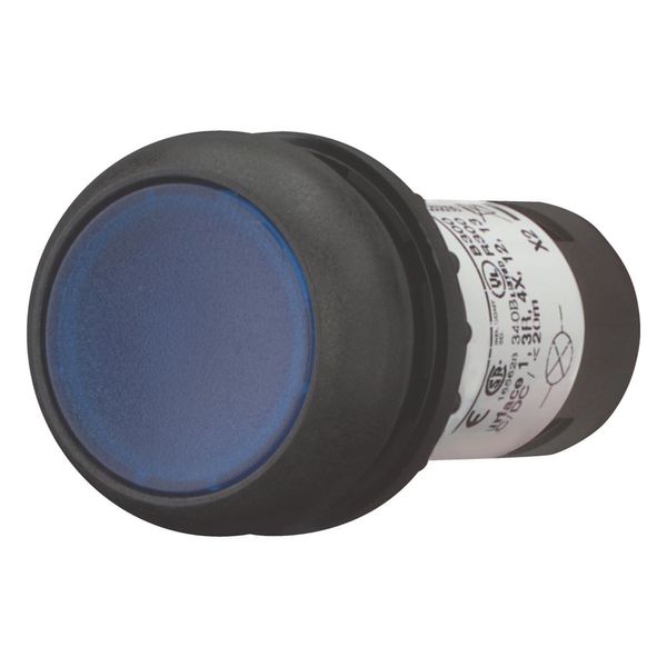 Illuminated pushbutton actuator, Flat, momentary, 1 N/O, Screw connection, LED Blue, Blue, Blank, 24 V AC/DC, Bezel: black image 5