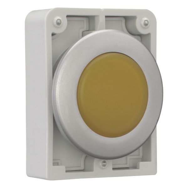 Indicator light, RMQ-Titan, Flat, yellow, Metal bezel image 7