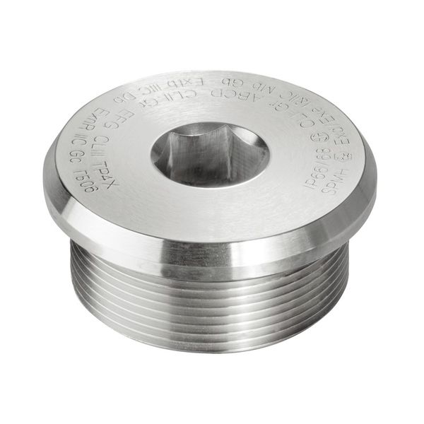 Ex sealing plugs (metal), M 75, 16 mm, Stainless steel 1.4404 (316L) image 1