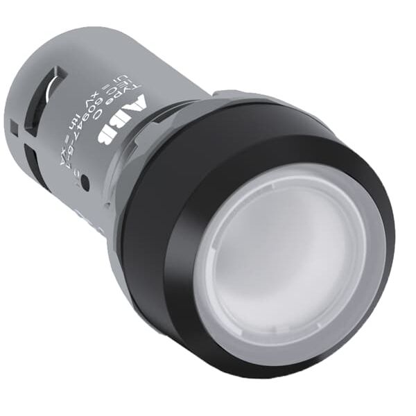 PUSHBUTTON CP1-12C-10 image 1