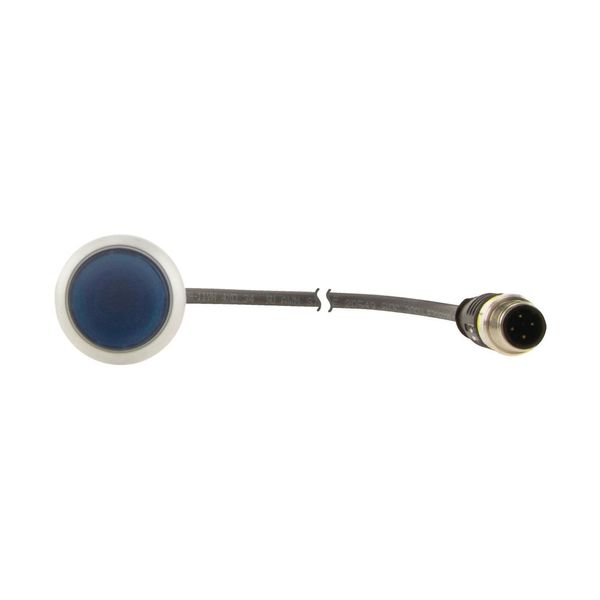 Illuminated pushbutton actuator, Flat, momentary, 1 N/O, Cable (black) with M12A plug, 4 pole, 0.5 m, LED Blue, Blue, Blank, 24 V AC/DC, Bezel: titani image 7