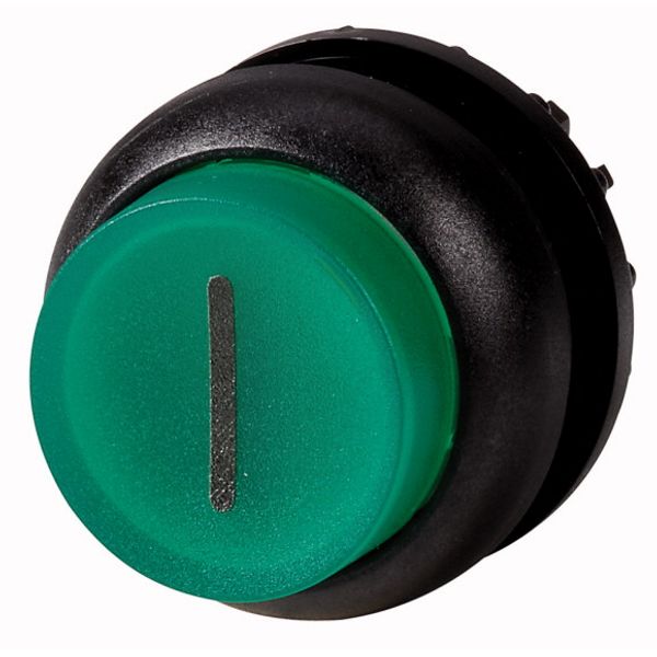 Illuminated pushbutton actuator, RMQ-Titan, Extended, momentary, green, inscribed, Bezel: black image 1