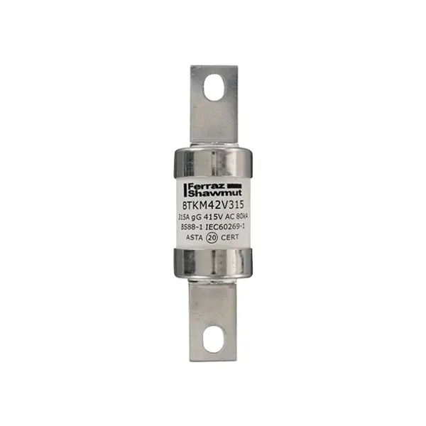 BS fuse-link IEC gG B3X 415VAC 240VDC 315A BTKM Central Bolted Tag image 1