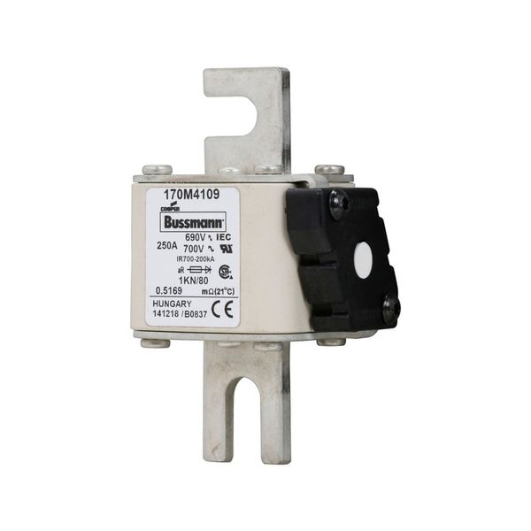 Fuse-link, high speed, 250 A, AC 690 V, DIN 1, 53 x 69 x 108 mm, aR, DIN, IEC, single indicator image 8