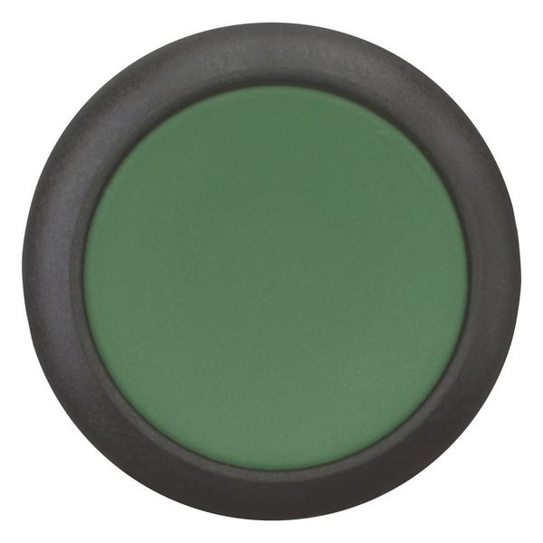 Pushbutton, Flat, maintained, 2 N/O, Screw connection, green, Blank, Bezel: black image 9