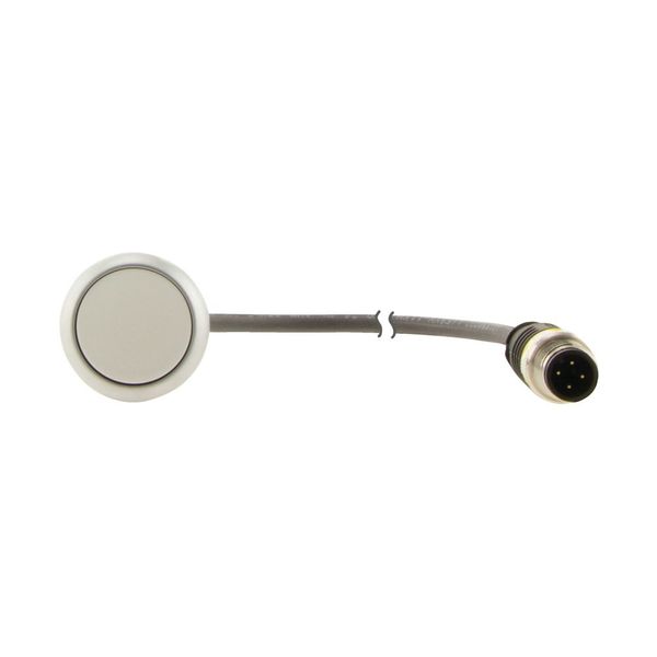 Pushbutton, Flat, momentary, 1 N/O, Cable (black) with M12A plug, 4 pole, 0.2 m, White, Blank, Bezel: titanium image 13