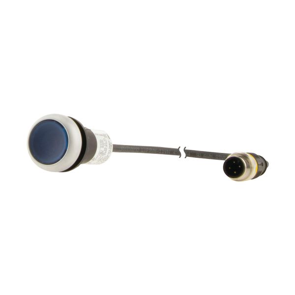 Illuminated pushbutton actuator, Flat, momentary, 1 N/O, Cable (black) with M12A plug, 4 pole, 0.5 m, LED Blue, Blue, Blank, 24 V AC/DC, Bezel: titani image 6