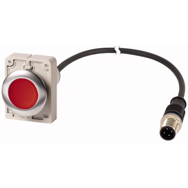 Illuminated pushbutton actuator, Flat, maintained, 1 NC, Cable (black) with M12A plug, 4 pole, 1 m, LED Red, red, Blank, 24 V AC/DC, Metal bezel image 1