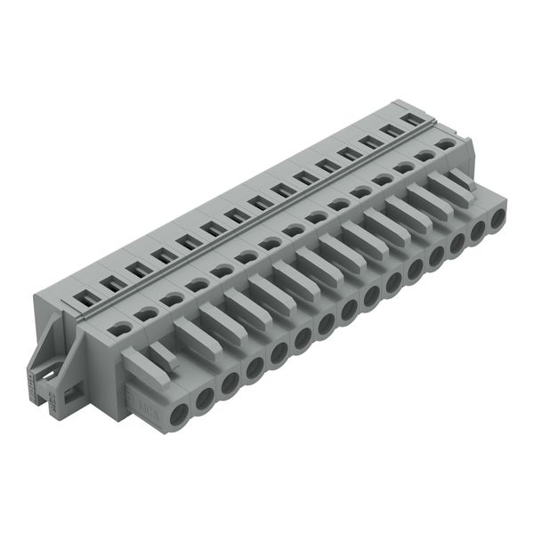 1-conductor female connector CAGE CLAMP® 2.5 mm² gray image 3