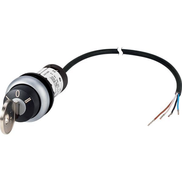 Key-operated actuator, RMQ compact solution, maintained, 2 N/O, Cable (black) with non-terminated end, 4 pole, 3.5 m, 3 positions, MS1, Bezel: titaniu image 3