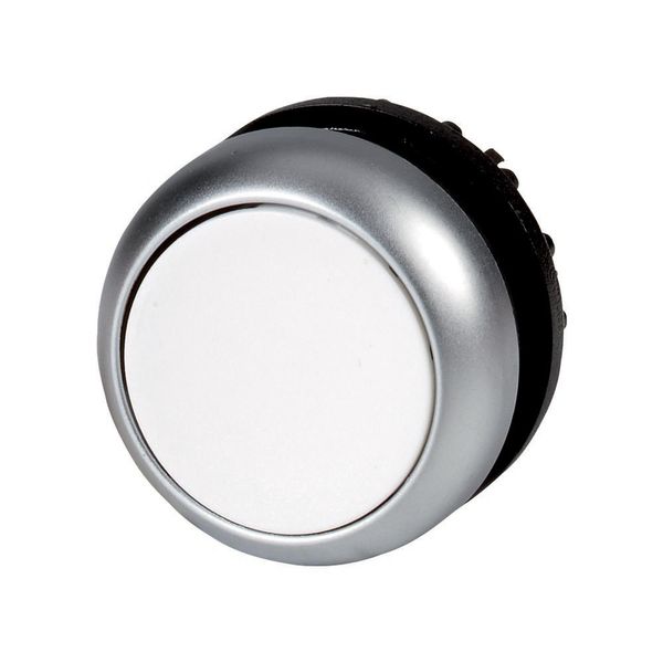 Pushbutton, RMQ-Titan, Flat, maintained, White, Blank, Bezel: titanium image 6