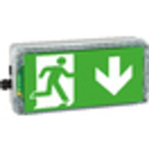 EX-protected emerg.luminaire EXIT 2 N zone2/22 LED 3h230V AC image 2