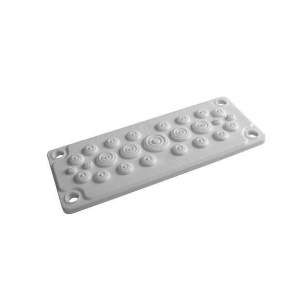 Plastic gland plate for WSTVBF, 25 cable glands IP65 image 1