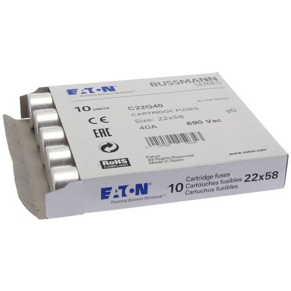Fuse-link, LV, 40 A, AC 690 V, 22 x 58 mm, gL/gG, IEC image 1