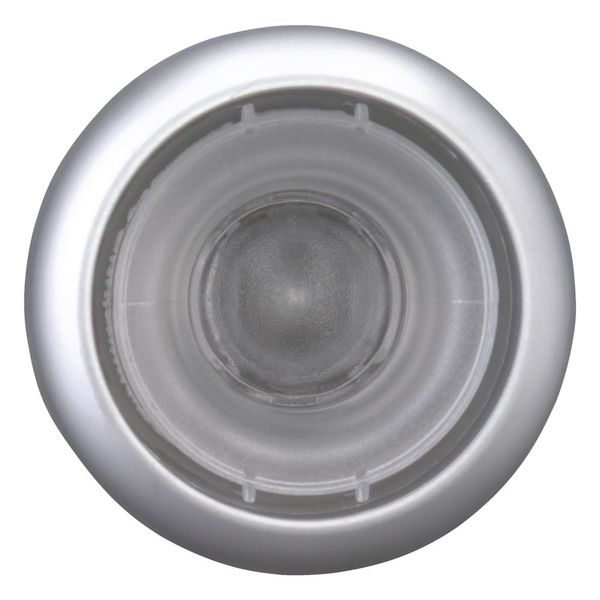 Pushbutton, RMQ-Titan, flush, momentary, Without button plate, Bezel: titanium image 10