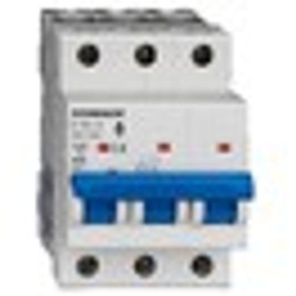 Miniature Circuit Breaker (MCB) AMPARO 10kA, C 10A, 3-pole image 8