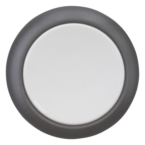 Pushbutton, RMQ-Titan, Flat, momentary, gray, Blank, Bezel: black image 5