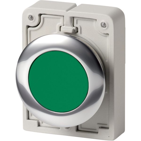 Pushbutton, RMQ-Titan, Flat, maintained, green, Blank, Metal bezel image 5