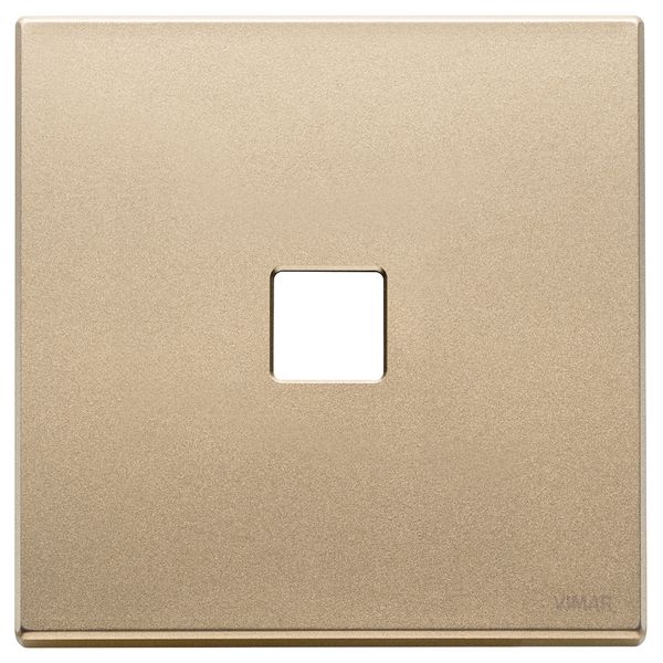 Plate 2Mx1 Flat satin gold image 1