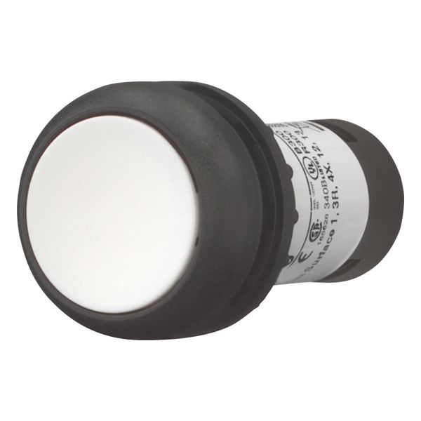 Pushbutton, Flat, momentary, 2 N/O, Screw connection, White, Blank, Bezel: black image 8