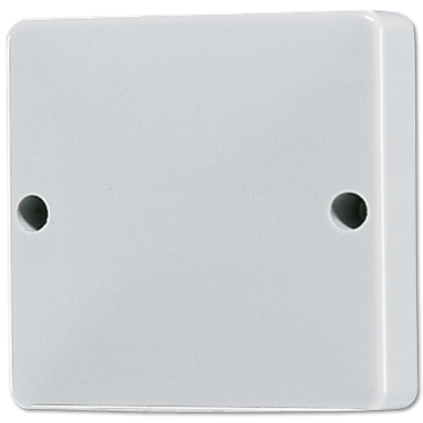 Blank centre plate 600G image 3