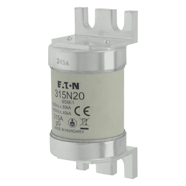 Fuse-link, low voltage, 315 A, AC 660 V, BS88, 49 x 110 mm, gL/gG, BS image 18