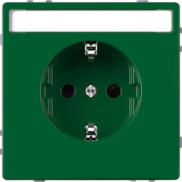 SCHUKO socket for special circuits with label, touch protection, plug-in terminals, SV, green, system design image 1