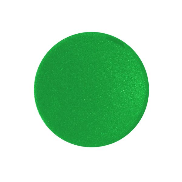 Button plate, flush, green image 1